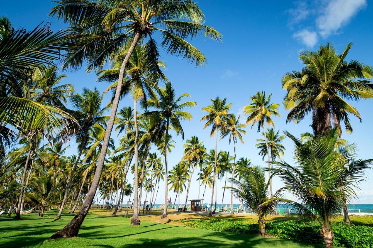 Paraiso Na Terra - Carneiros Beach Resort Тамандаре Екстер'єр фото